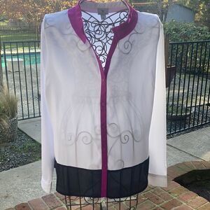 EUC Women’s Worthington Button Down Color Block Blouse Size XL